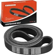 Serpentine Belt Replacement for International 9200 SBA 1995-1999 9100 SBA 1998-1999 8500 4400LP 4400 2002-2005 4300LP 4300 2002-2004, 7.6L 8.7L 11.1L 12.7L Diesel