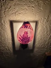 HAWAII - Carved Pineapple Cowrie Natural Shell Night Light