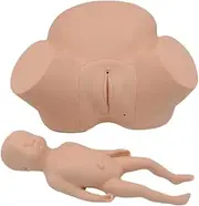 Medical Model Midwifery Demonstration Training Model Anatomy Birth Simulator Doll Midwife Training Female Pregnant Display Teaching