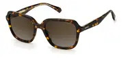POLAROID-PLD 4095/S/X-86-5319-SUNGLASSES