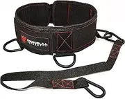 Iron Bull Strength Advanced Dip Belt - Dip Pullup Squat Multifunction Versatile Weight Belt Lifting