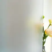 Frosted Window Film,Privacy Static Cling Glass Door Film,Removable Stained Gl...