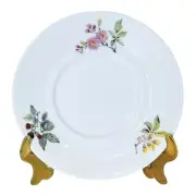 Vintage Mottahedeh AVIARY Multimotif Flowers Porcelain 5 5/8” Saucer NEW