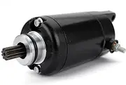 Starter Motor for Kawasaki KLE250 Anhelo EX250 ZZR250 Ninja 250R GPX250R EL250 250HS Eliminator 250 250LX 250SE 21163-1136 1205