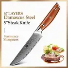 Full Tang Steak Knife 67 Layers Damascus Steel Wood Handle Premium Beef Slicing