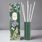 Wick2ware Australia Home Fragrance Essentials Oil Reed Diffuser - Passionfruit &