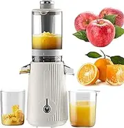 Cold Press Juicer, 900ML 100W Juicer Machines with 2 Cups, 103mm Feeding Chute, Vegetable and Fruit No-Cut Design, Masticating Juicer Easy to Clean, for Home Restaurants