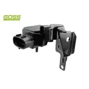 RAE MAP Sensor - MP123