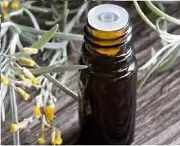 Helichrysum Italicum Essential Oil 10ml 10 ml
