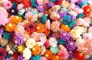12mm resin carnation flowers mixed colors cabochon flatbacks