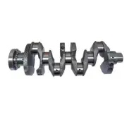 Crankshaft 8941396690 For Isuzu C240PKJ Engine TCM Komatsu Yale Hyster Forklift