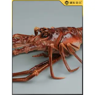(MOLD-C161)仿真古巴龍蝦模型巴西大龍蝦波龍青龍仿真海鮮樣品直播道具假水產