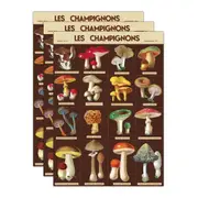 3x Cavallini Paper Poster Prints/Gift Wrap Wall Art 50x70cm Les Champignons