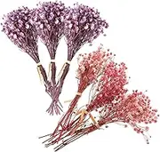 HOLIDYOYO 6pcs Babys Breath Dried Flower Bouquet Artificial Wedding Home Decoration Charming Floral Arrangement for Photography Present Box Included Height
