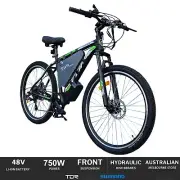 750W 29" Electric Bike Mountain Bicycle eBike e-Bike with 15Ah Lithium Battery