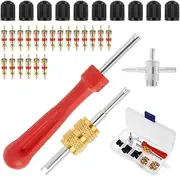 Hnvdkln 33Pcs Tire Valve Stem Puller Tools Set, Valve Core Removal Tool, Tyre Valve Caps 20Pcs Valve Cores Snap-in Valve Stems with 10Pcs Valve Core Remover for Car Truck Motorcycle