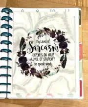 My Sarcasm Depends on Your Stupidity 2 Sided Dashboard 4 use w BIG Happy Planner