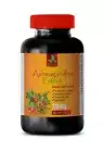 immune system booster - ASHWAGANDHA COMPLEX - astragalus root 1 BOTTLE