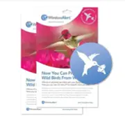 WindowAlert Hummingbird Anti-Collision Window Decal, set of 2