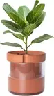 8 Inch Self Watering Planter Pot, Terracotta Clay Pot with Glass Reservoir for I