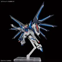 在飛比找蝦皮商城優惠-BANDAI 1/144 HG 機動戰士鋼彈SEED FRE