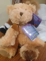 Russ Shining Stars Honey Bear Plush Stuffed Animal With Tags