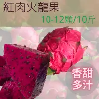 在飛比找蝦皮購物優惠-【產地直送】南投紅肉火龍果(每箱10-12入/約10斤)