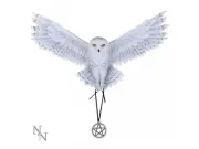 Stunning Awaken Your Magic Wall Art Owl Figurine - Anne Stokes-Great.