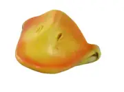 Adult Mini Yellow Duck Bill Beak Novelty Bird Animal Nose Mask Costume Accessory