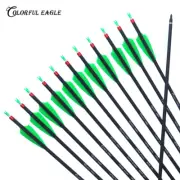 Carbon Arrows Archery Shooting Hunting Replaceable arrowheads for Compound Bow