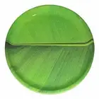 Banana Leaf Square Ice Cream Starters Serving Melamine Plate pack of 6 US