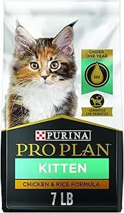 Purina Pro Plan High Protein Dry Kitten Food, Focus Chicken & Rice Formula - 7 lb. Bag