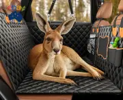 Hard Bottom Dog Car Seat Cover - Dog Car Seat Extender, Pet Car Hammock, Dog Car