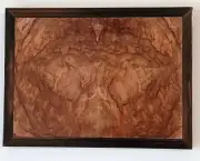 Bookmatched Spalted Maple Burl & Macassar Ebony Wall Art Artist Signed No. 239