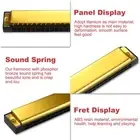 C Key 24-Hole Diatonic Harmonica with Case Ideal for Blues Jazz Folk