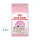 ROYAL CANIN 法國皇家 FHN 皇家 離乳貓與母貓 BC34