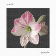 Amaryllis Needlepoint Kit or Canvas