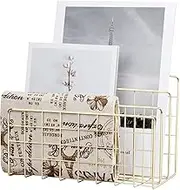 YiePhiot Desktop Mail Organizer File Organizer Metal Wire Mail Sorter Letter Organizer Magazine Rack for Letters, Mails, Books, Postcards, Brochures, Mail Holder (3 Slot, Gold)