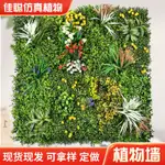 大號仿真植物牆室內門頭裝飾塑膠草坪假草皮人造背景牆