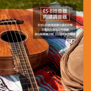 Taylor / GS Mini-e Koa Bass 38吋 面單 旅行電木貝斯【樂器通】