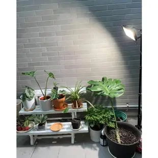 現貨 第二代 海拉植物燈 仿太陽光 RA95高顯色 全光譜 戶外防水 LED投光燈50W, 農業 多肉 花卉 專用照明