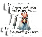 I May Look Calm But in My Head... I've Pecked You 3 Times Magnet - 5" On Longest Side - Chicken - 2 Pack - Thick Strong Magnet - Bumper Magnet for Fridge, Toolbox, Cars - Made in USA - PLDFMAG2078