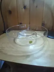 Vintage Princess House Heritage One Piece Chip And Dip Bowl