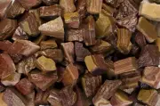 1 lb Brown Stripe Jasper Rough Stones - Natural Crystal Mineral Rock Tumbling