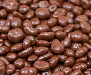 COMPARE TO GOOBERS- Milk Chocolate Covered Roasted Peanuts BULK CANDY- 1 POUND