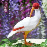 在飛比找Yahoo!奇摩拍賣優惠-熱銷   仿真動物模型鳥類羽毛標本擺件孔雀丹頂鶴/白鷺/朱鹮