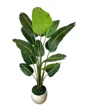 Creative Displays UV-Rated 6.5ft Outdoor Traveler Palm in Weather-Resistant Pot