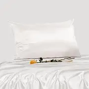 Promeed New 3rd Gen Silk Pillow Case for Hair and Skin, 25 Momme Mulberry Silk Pillowcases with Hidden Zipper, Both Sides Luxury Silk (Standard 20"x26", White)