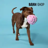 在飛比找蝦皮商城優惠-Barkshop 紙杯蛋糕 發聲玩具 造型玩具 丟接遊戲 犬