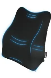 Lumbar Support Car Cushion, Back Support for Car Seat, Memory Foam Pillow